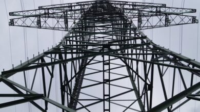 business support line numbers