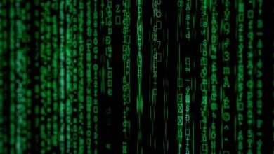 reverse number verification process