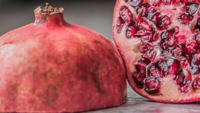 metlife benefits login portal