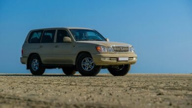 stable online model reliability